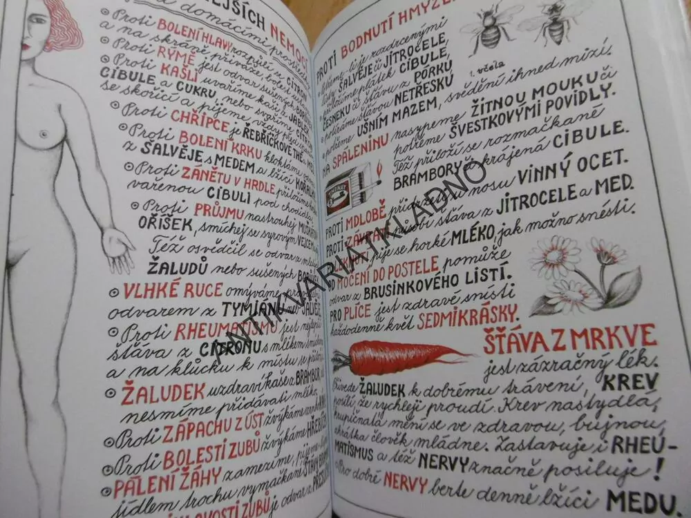 DOMÁCÍ ŠTĚSTÍ ANEB JAK SI SPRÁVNĚ V ŽIVOTĚ VÉSTI, IVA HÜTTNEROVÁ, **an