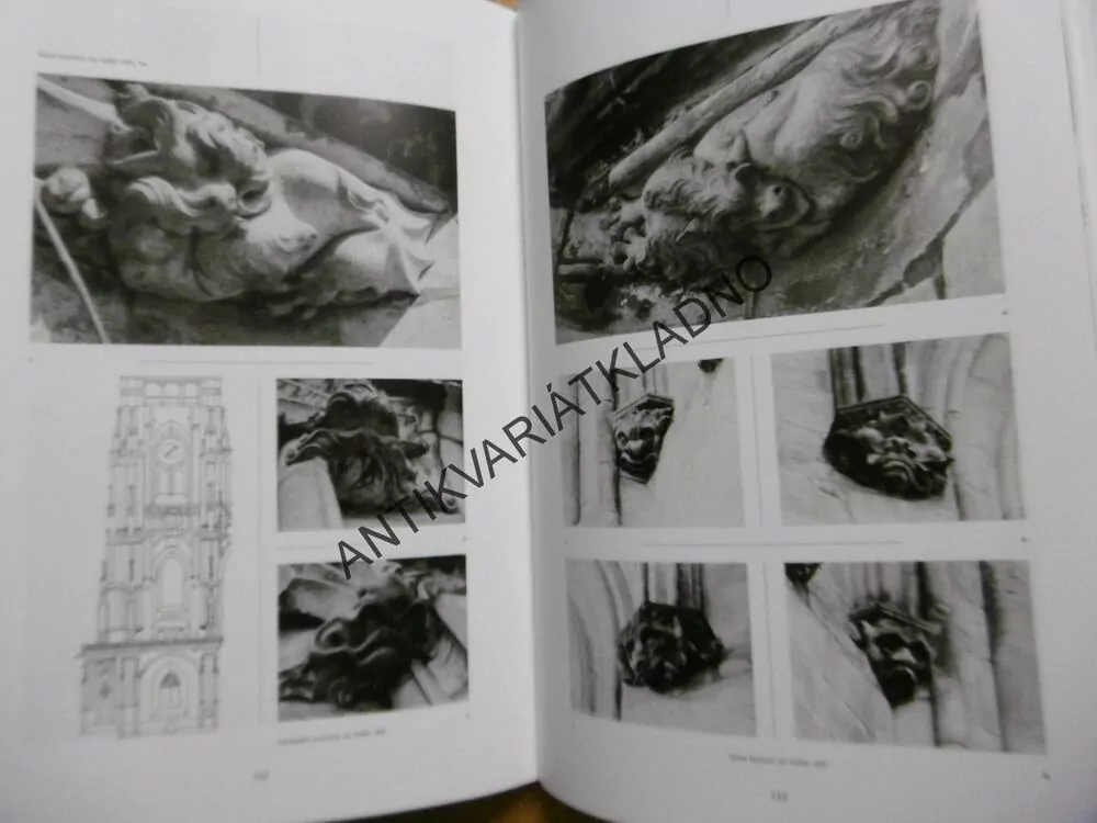 PETR PARLÉŘ, SVATOVÍTSKÁ KATEDRÁLA 1356-1399, **an