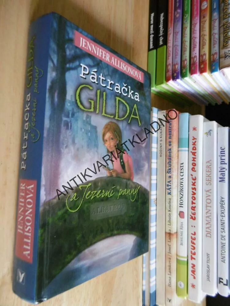 PÁTRAČKA GILDA A JEZERNÍ PANNY, JENNIFER ALLISONOVÁ, **an