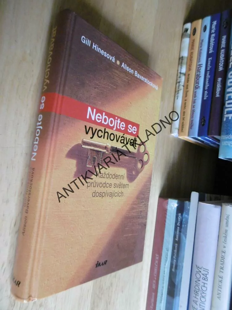 NEBOJTE SE VYCHOVÁVAT, KAŽDODENNÍ PRŮVODCE SVĚTEM DOSPÍVAJÍCÍCH, HINESOVÁ