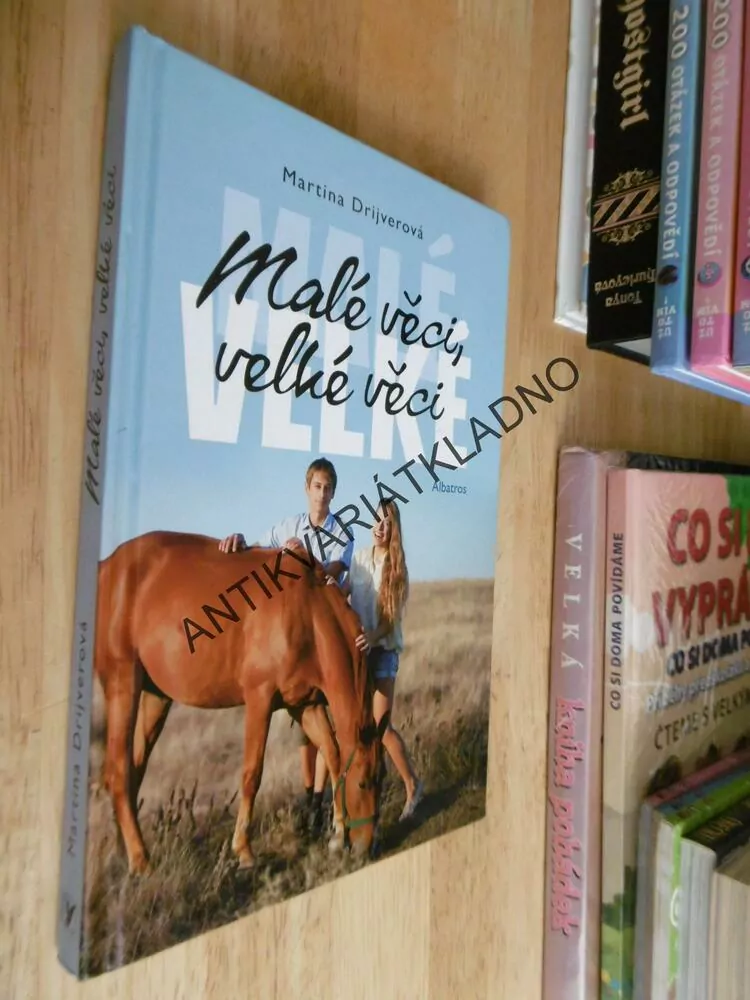 MALÉ VĚCI, VELKÉ VĚCI, MARTINA DRIJVEROVÁ, **an