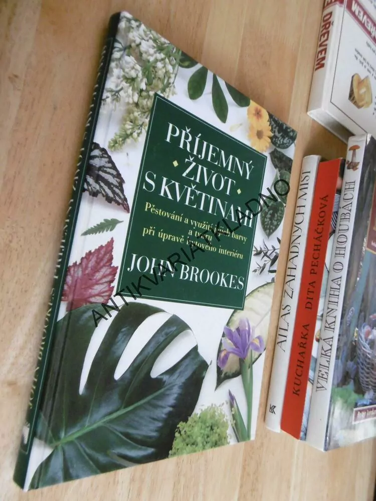 PŘÍJEMNÝ ŽIVOT S KVĚTINAMI, PĚSTOVÁNÍ A VYUŽITÍ JEJICH BARVY A TVARU PŘI ÚPRAVĚ BYTOVÉHO INTERIÉRU, **an