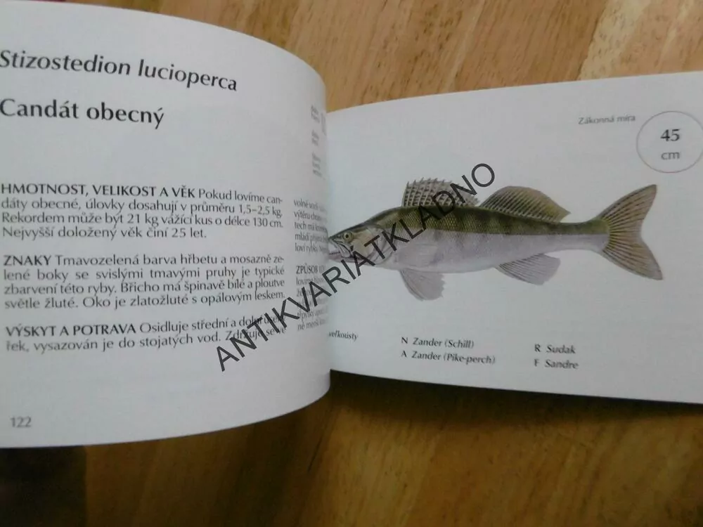 NAŠE RYBY, KAPESNÍ ENCYKLOPEDIE MODERNÍHO RYBÁŘE, OTTO POSPÍŠIL
