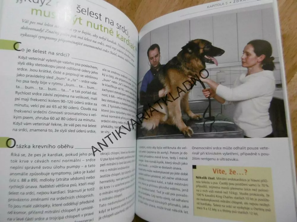 PES SENIOR, ZDRAVÍ, CHOVÁNÍ, PÉČE, STRAVA, MULLEROVÁ, **an