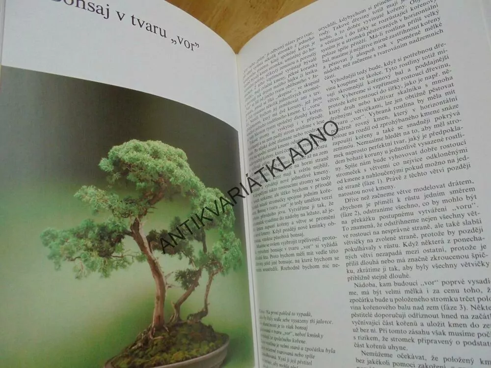 BONSAI, CHRISTINE STEWARTOVÁ, JAPONSKÁ ZAHRADA, **an
