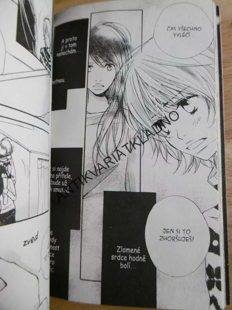 KAŽDÁ JSME JINÁ, 1., AOI, IKARI IAŠIKI, KOMIKS