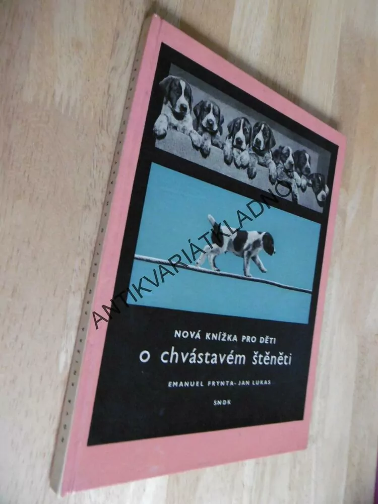 NOVÁ KNÍŽKA PRO DĚTI O CHVÁSTAVÉM ŠTĚNĚTI, FRYNTA, LUKAS, 1964