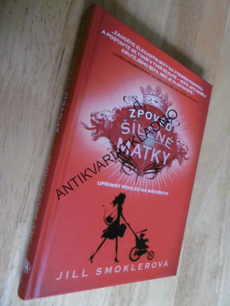 ZPOVĚĎ ŠÍLENÉ MATKY, JILL SMOKLEROVÁ, **an