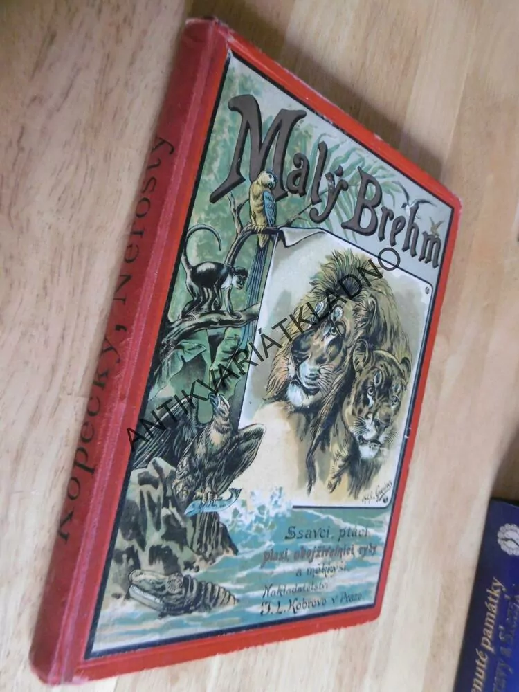 MALÝ BREHM, 6 X LITOGRAFIE, O NEROSTECH, HORNINÁCH A SLOŽENÍ ZEMSKÉ KŮRY, **an