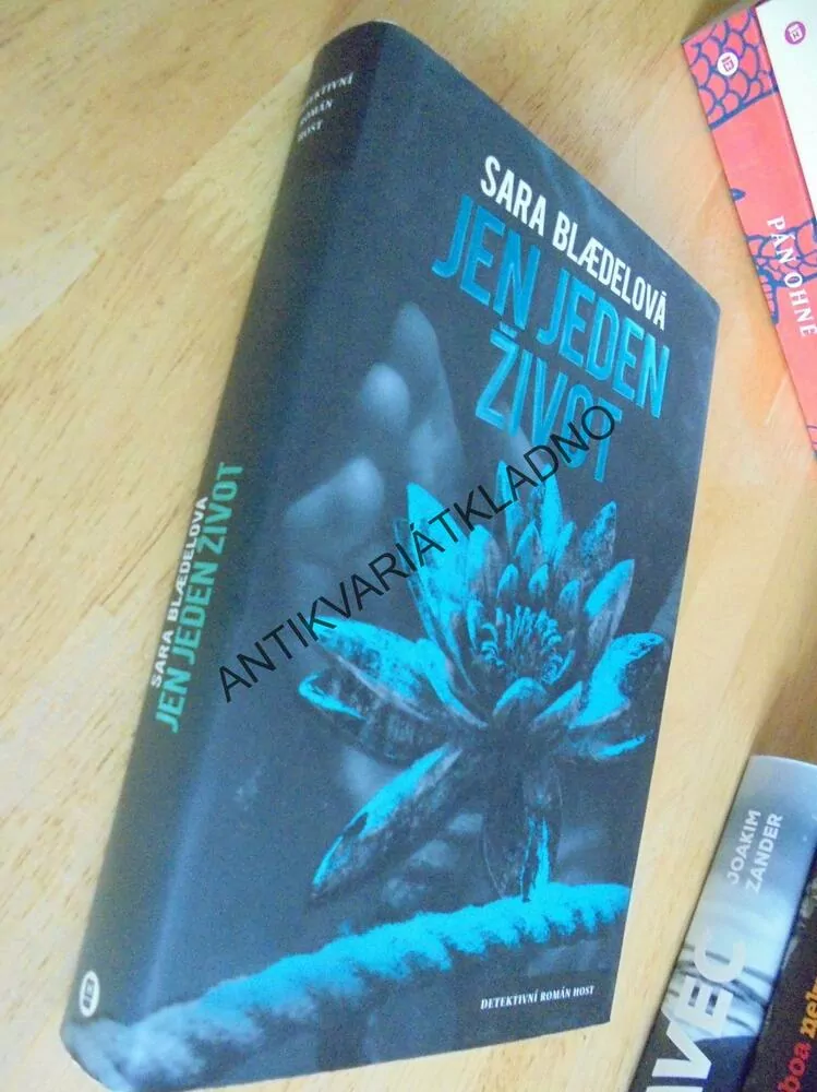 JEN JEDEN ŽIVOT, SARA BLAEDELOVÁ, DETEKTIVKA ROMÁN, **an