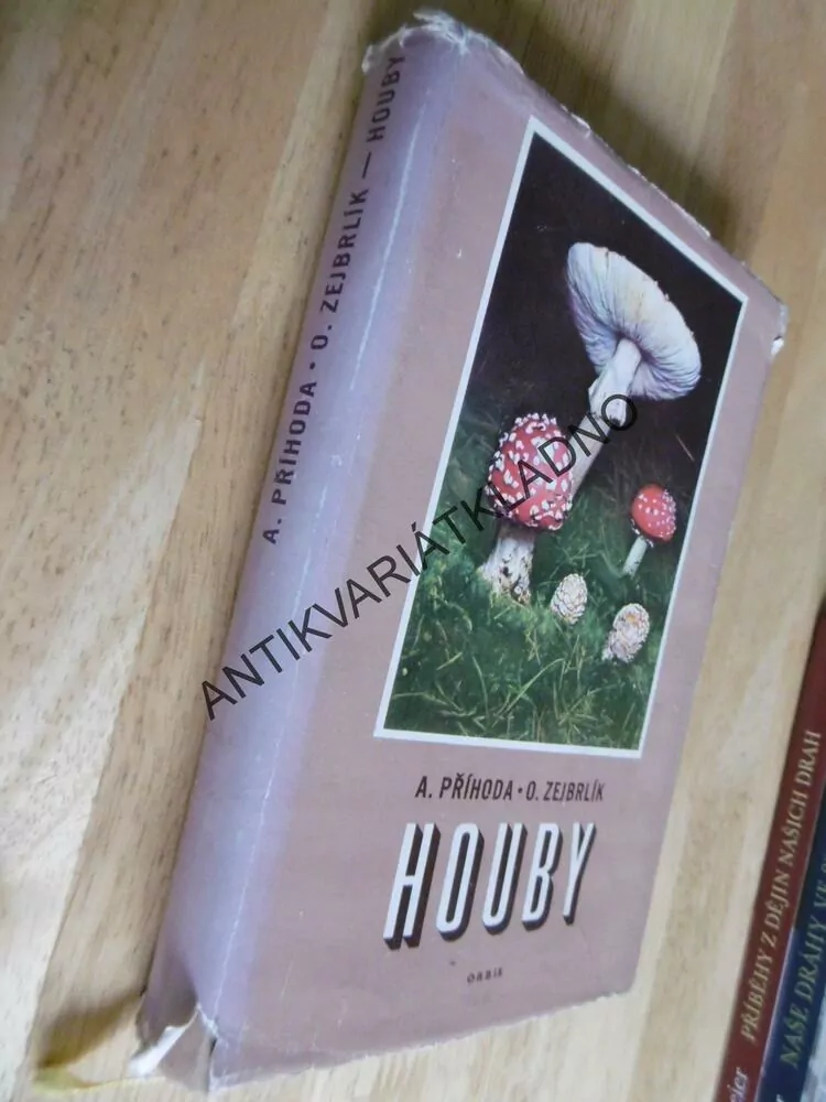 HOUBY, PŘÍHODA, ZEJBRLÍK