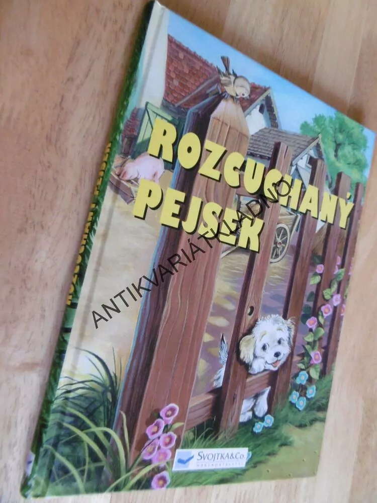 ROZCUCHANÝ PEJSEK, FEKETÜ,  **an