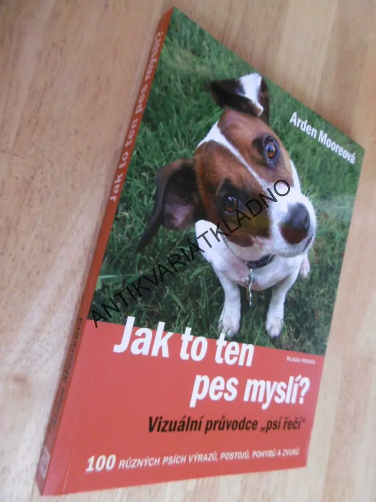 JAK TO TEN PES MYSLÍ? VIZUÁLNÍ PRŮVODCE PSÍ ŘEČÍ, ARDEN MOOREOVÁ