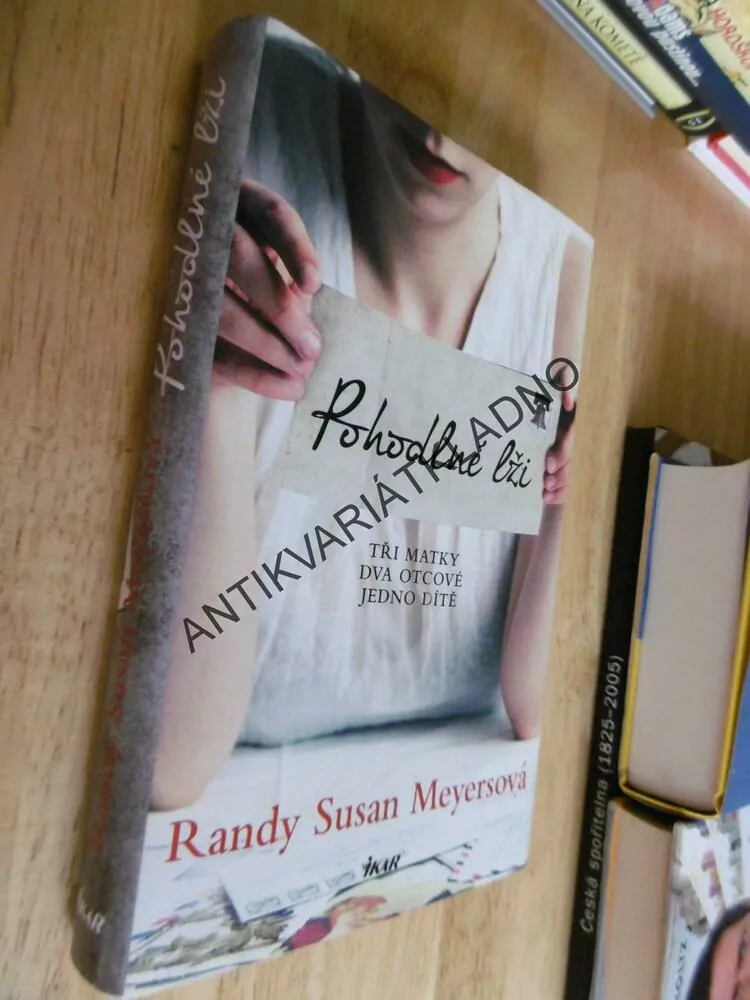 POHODLNÉ LŽI, RANDY SUSAN MEYERSOVÁ, **an