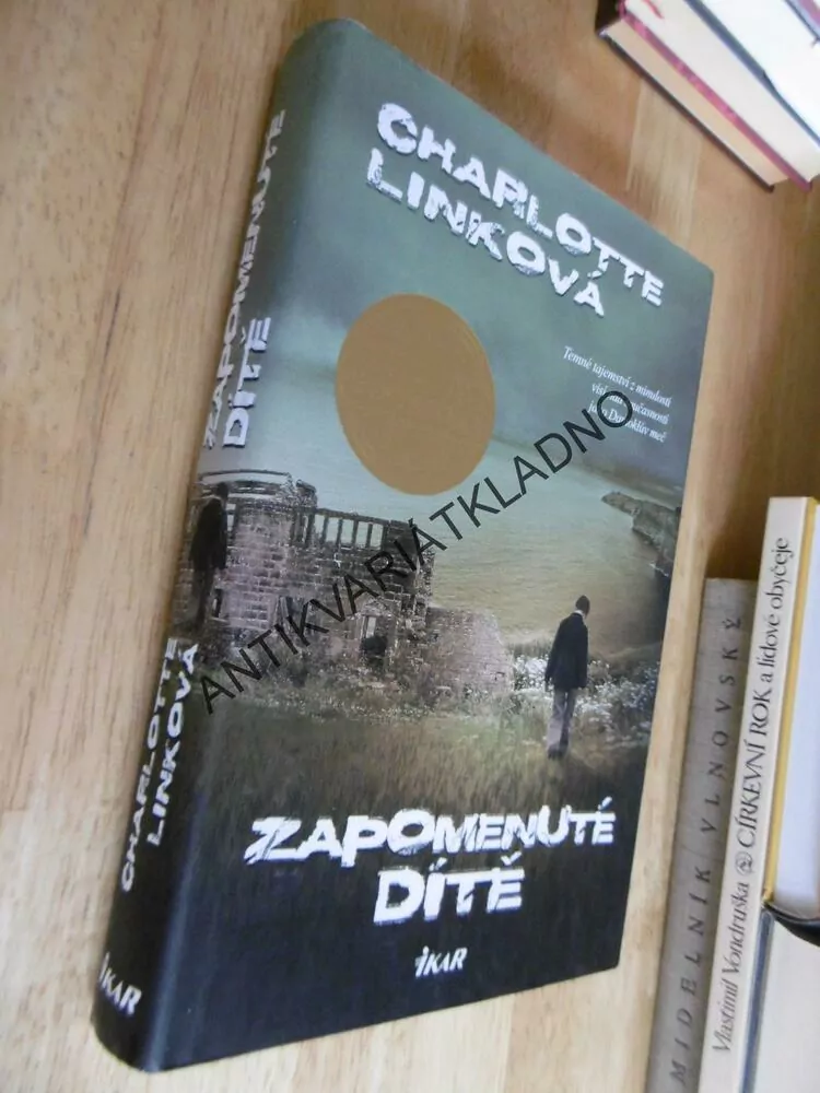 ZAPOMENUTÉ DÍTĚ, CHARLOTTE LINKOVÁ