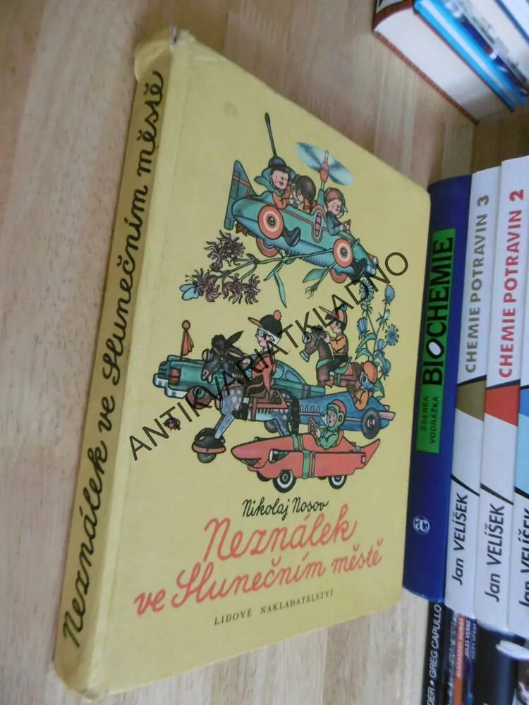NEZNÁLEK VE SLUNEČNÍM MĚSTĚ, NIKOLAJ NOSOV, ZÁPAL, **an