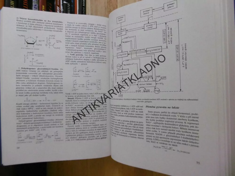 BIOCHEMIE, ZDENĚK VODRÁŽKA,1996