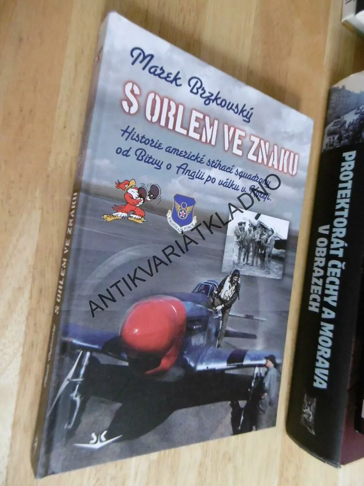 S ORLEM VE ZNAKU, HISTORIE STÍHACÍ SQUADRONY OD BITVY O ANGLII PO VÁLKU V KOREJI, MAREK BRZKOVSKÝ