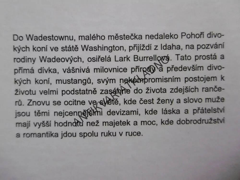 POHOŘÍ DIVOKÝCH KONÍ, ZANE GREY, HORA, GLAJC