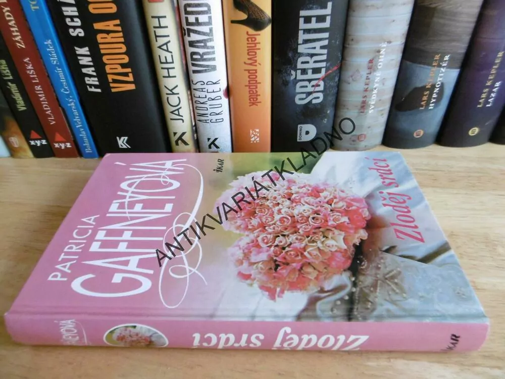 ZLODĚJ SRDCÍ, PATRICIA GAFFNEYOVÁ, **an