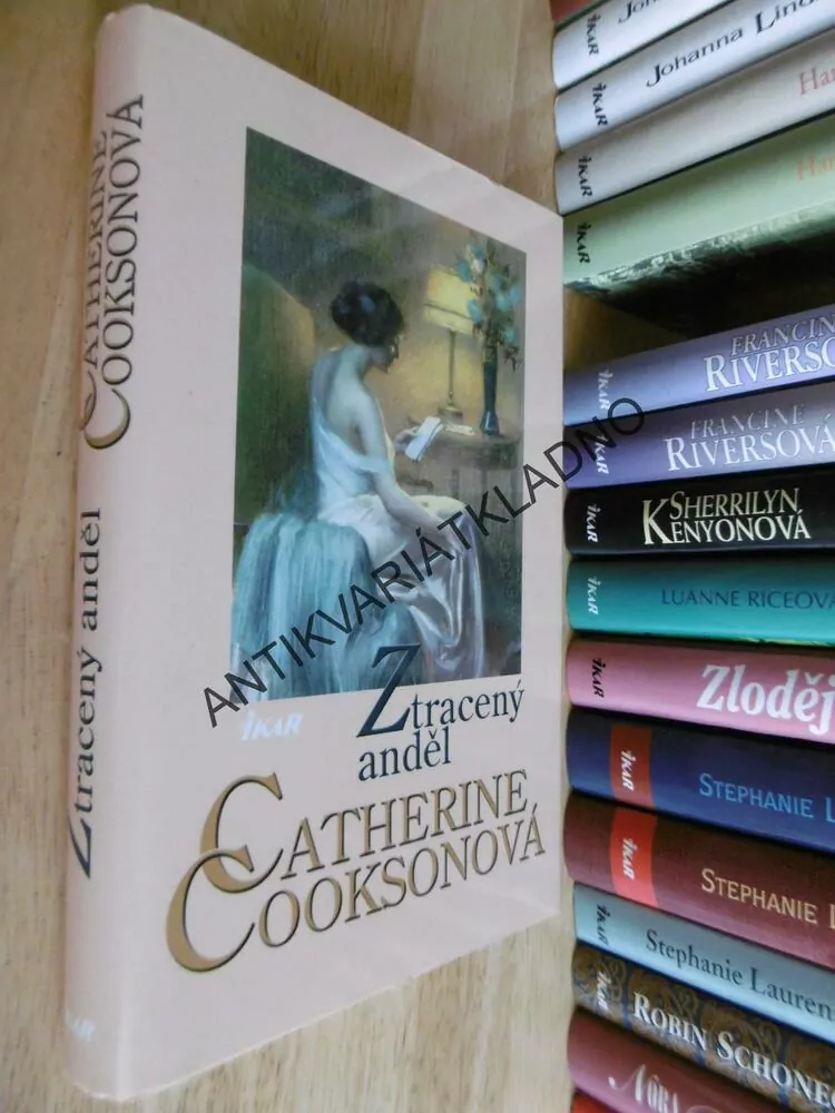 ZTRACENÝ ANDĚL, CATHERINE COOKSONOVÁ, **an