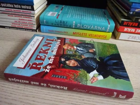 ŘEKNI, ŽE MĚ MILUJEŠ, JOHANNA LINDSEYOVÁ, LINDSEY, **an