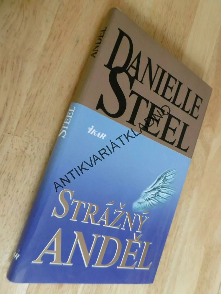 STRÁŽNÝ ANDĚL, DANIELLE STEEL, **an