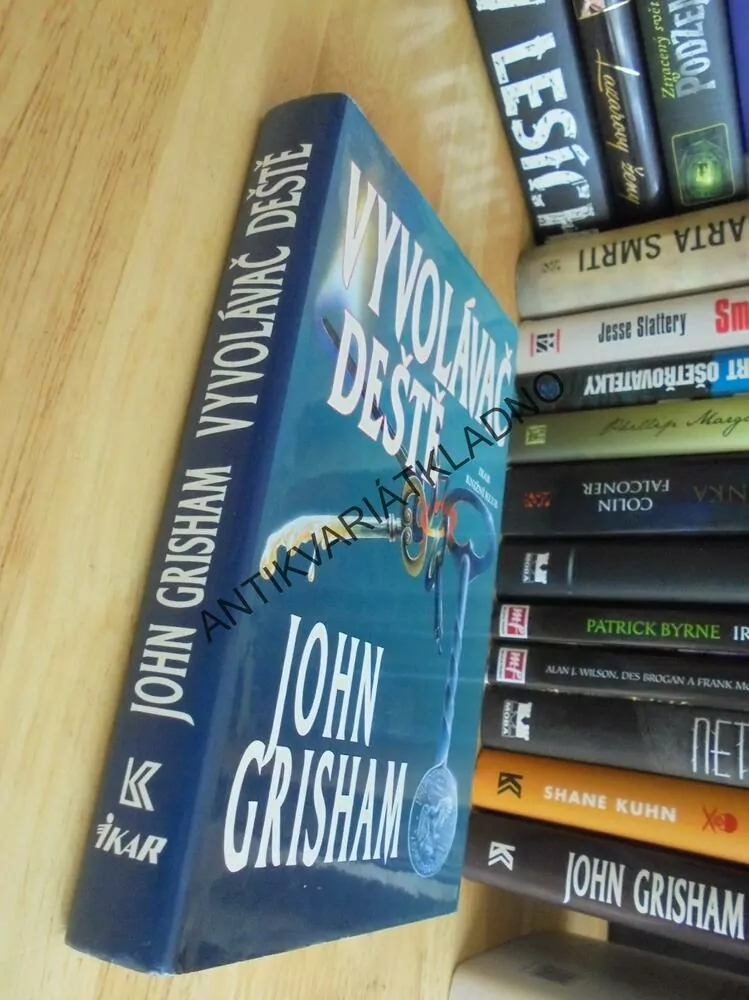 VYVOLÁVAČ DEŠTĚ, JOHN GRISHAM, **an