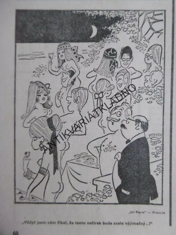 MAGAZÍN DIKOBRAZU