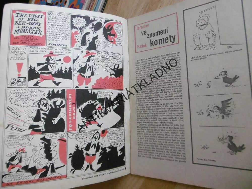MAGAZÍN DIKOBRAZU