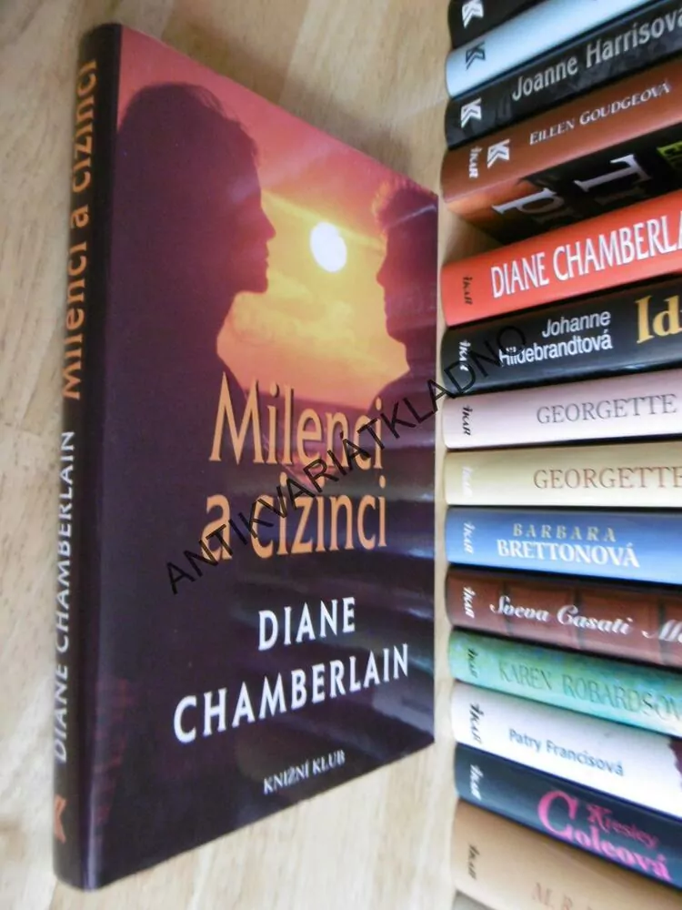 MILENCI A CIZINCI, DIANE CHAMBERLAINOVÁ