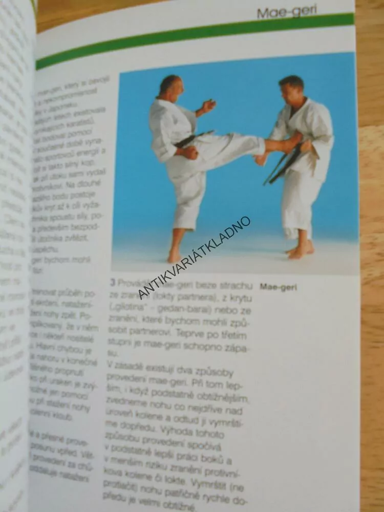 KARATE, SPORT, PRŮVODCE SPORTEM, WICHMANN