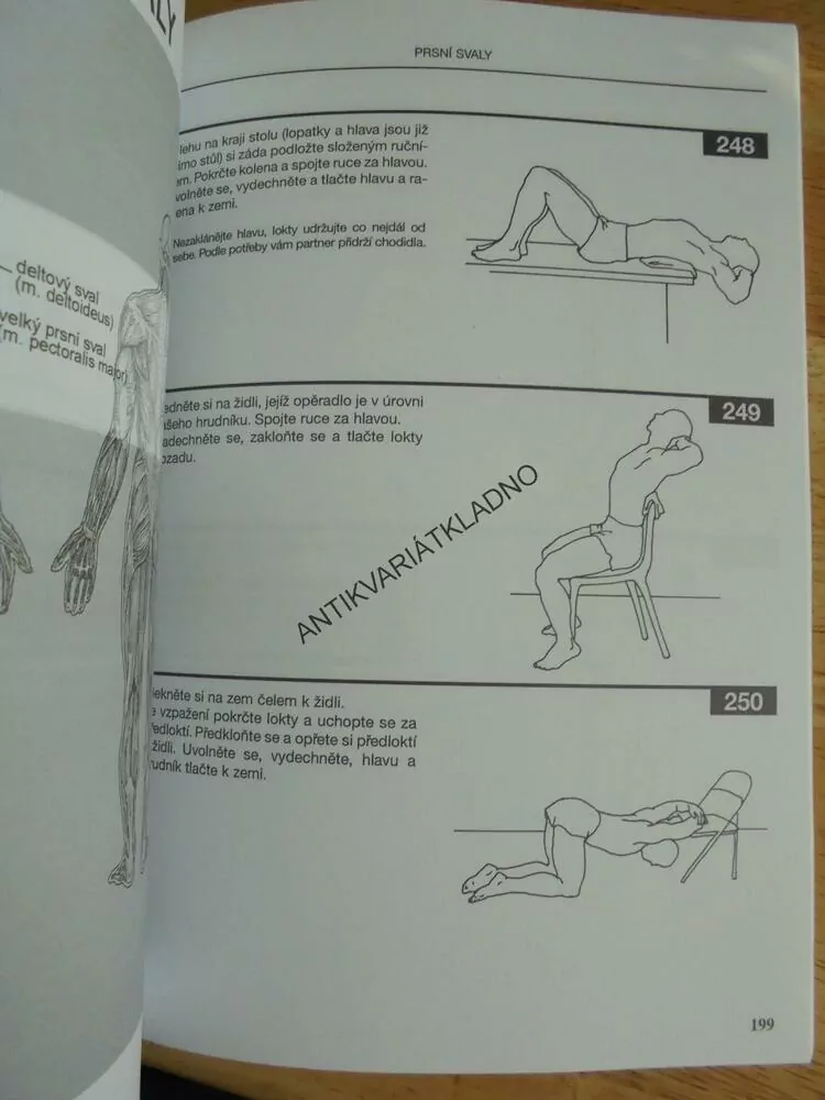 STREČINK, 311 PROTAHOVACÍCH CVIKŮ PRO 41 SPORTŮ, ALTER, SPORT