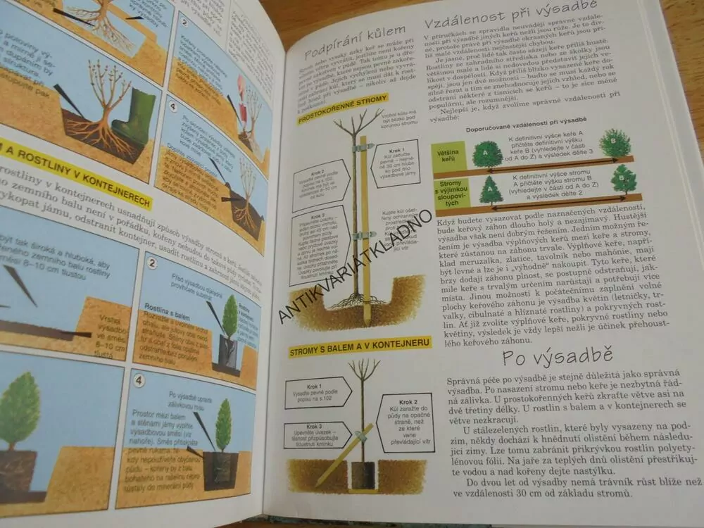 OKRASNÉ STROMY A KEŘE V ZAHRADĚ, HESSAYON, **an