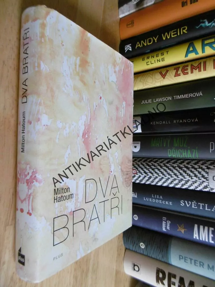 DVA BRATŘI, MILTON HATOUM, **an