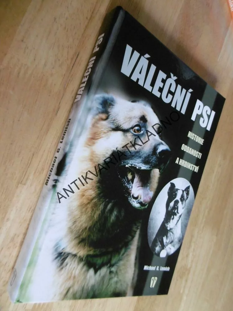 VÁLEČNÍ PSI, MICHAEL G. LEMISH