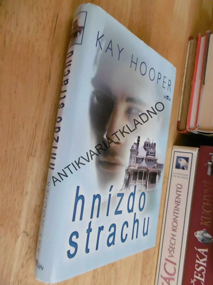 HNÍZDO STRACHU, KAY HOOPER