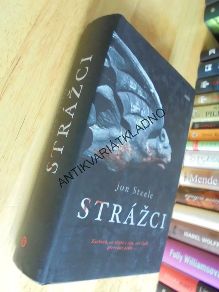 STRÁŽCI, JON STEELE,