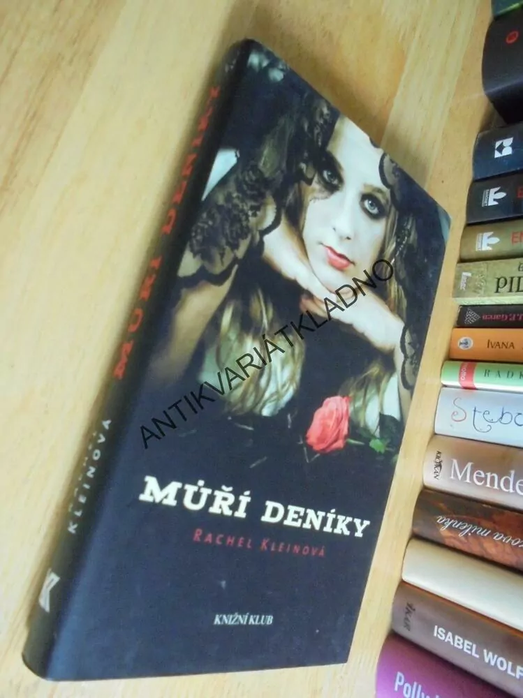 MÚŘÍ DENÍKY, RACHEL KLEINOVÁ, **an