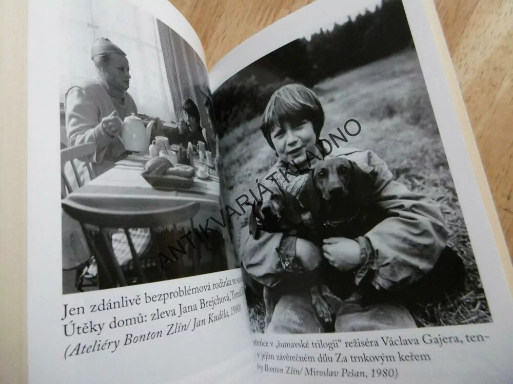 TOMÁŠ HOLÝ, KLUK, KTERÝ NIKDY NEZESTÁRL, JAN BRDIČKA