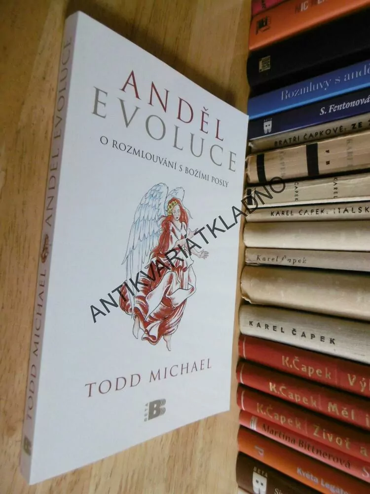 ANDĚL EVOLUCE, O ROZMLOUVÁNÍ S BOŽÍMI POSLY, TODD MICHAEL