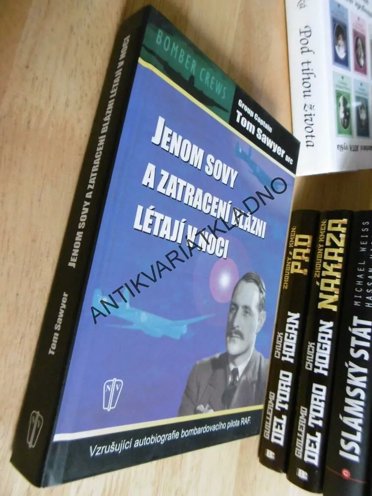 JENOM SOVY A ZATRACENÍ BLÁZNI LÉTAJÍ V NOCI, TOM SAWYER DFC, **an