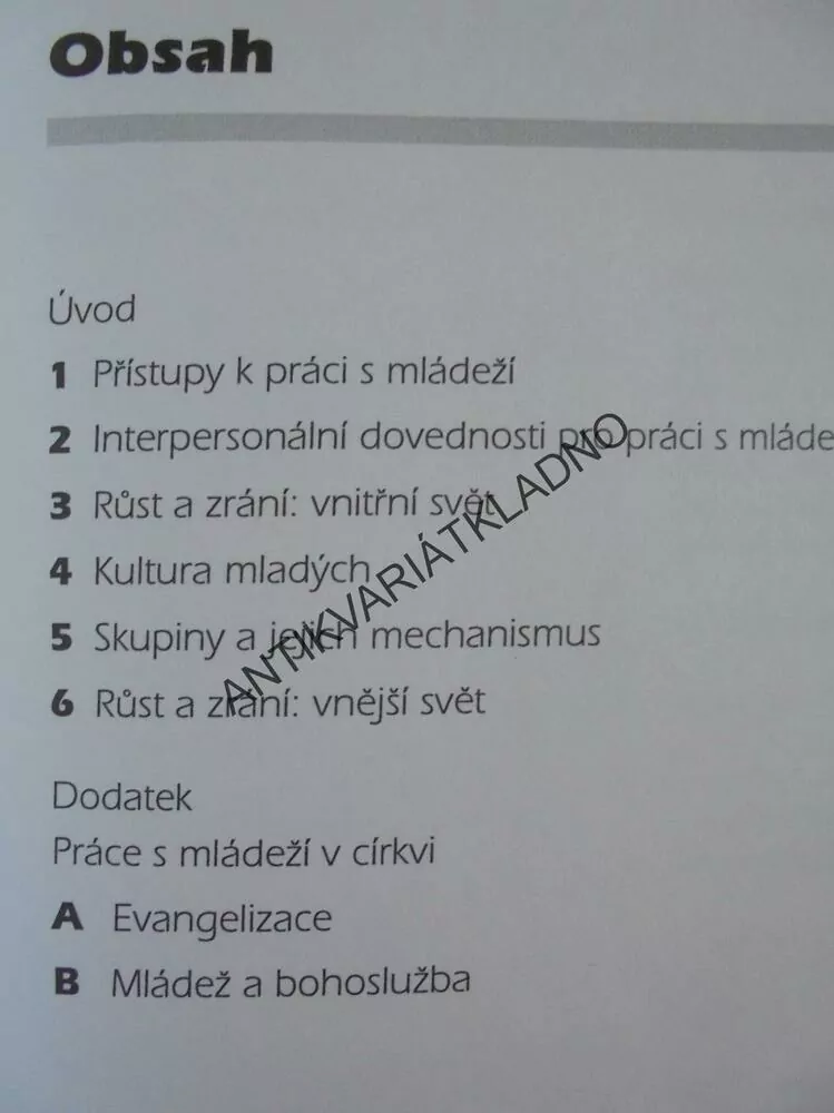 JAK SE PŘIPRAVOVAT NA PRÁCI S MLÁDEŽÍ, SOCIÁLNÍ DOVEDNOSTI, **an