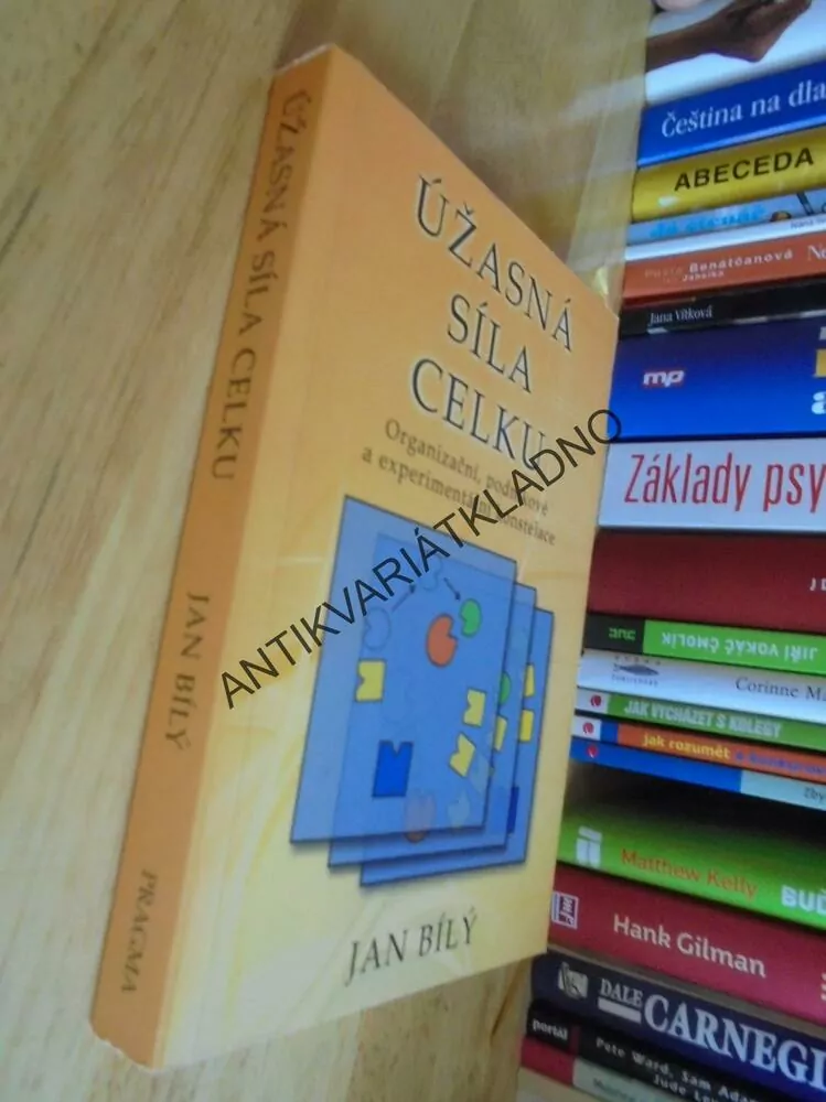 ÚŽASNÁ SÍLA CELKU, ORGANIZAČNÍ,PODNIKOVÉ A EXPERIMENTÁLNÍ KONSTELACE, J.BÍLÝ