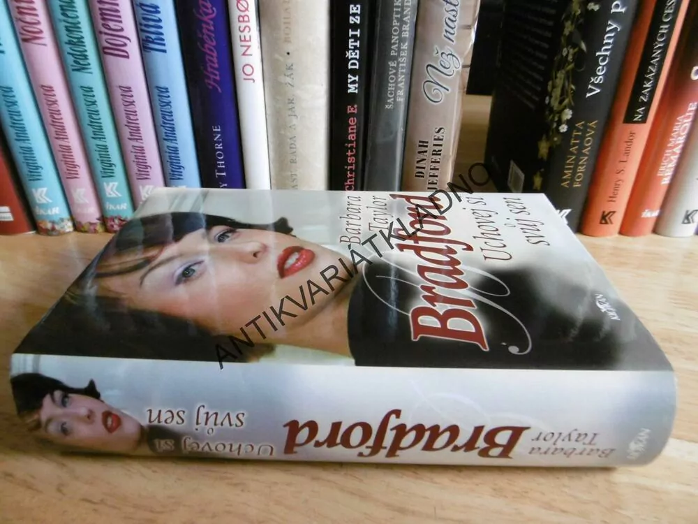 UCHOVEJ SI SVŮJ SEN, BARBARA TAYLOR BRADFORD, **an