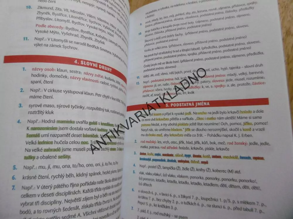4. TŘÍDA PROCVIČUJEME ČESKÝ JAZYK
