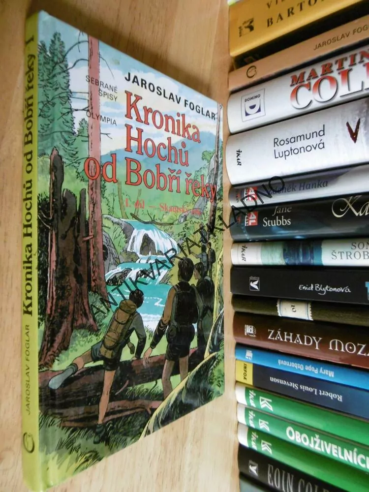 KRONIKA HOCHŮ OD BOBŘÍ ŘEKY, JAROSLAV FOGLAR