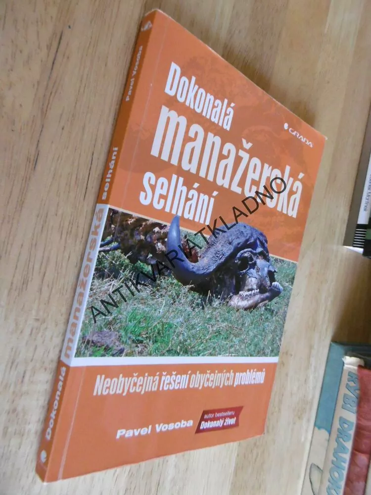 DOKONALÁ MANAŽERSKÁ SELHÁNÍ, NEOBYČEJNÁ ŘEŠENÍ OBYČEJNÝCH PROBLÉMŮ, PAVEL VOSOBA