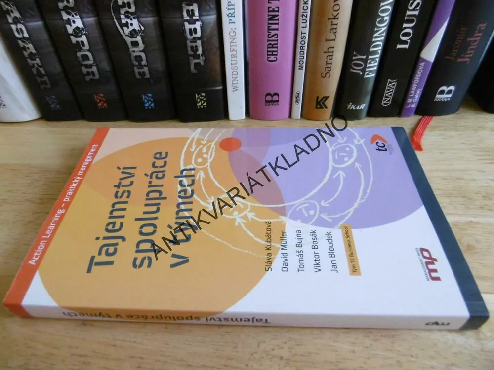 TAJEMSTVÍ SPOLUPRÁCE V TÝMECH, KUBÁTOVÁ A SPOL., ACTION LEARNING, **an