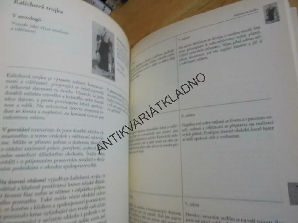 ZÁKLADNÍ KNIHA O TAROTU, TAROT